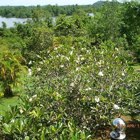 Sobaco Nature Resort Bentota Bagian luar foto
