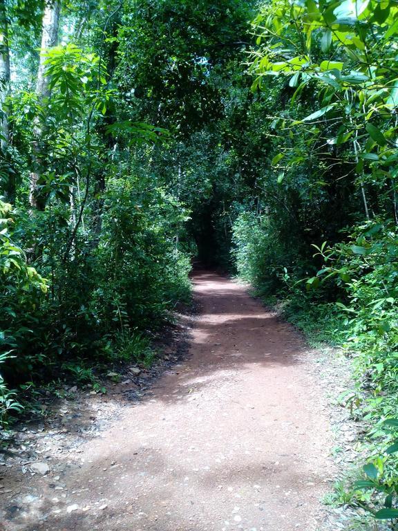 Sobaco Nature Resort Bentota Bagian luar foto