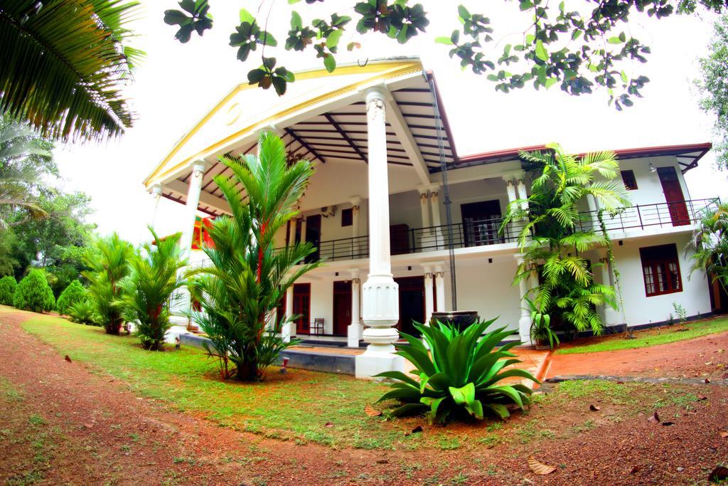Sobaco Nature Resort Bentota Bagian luar foto