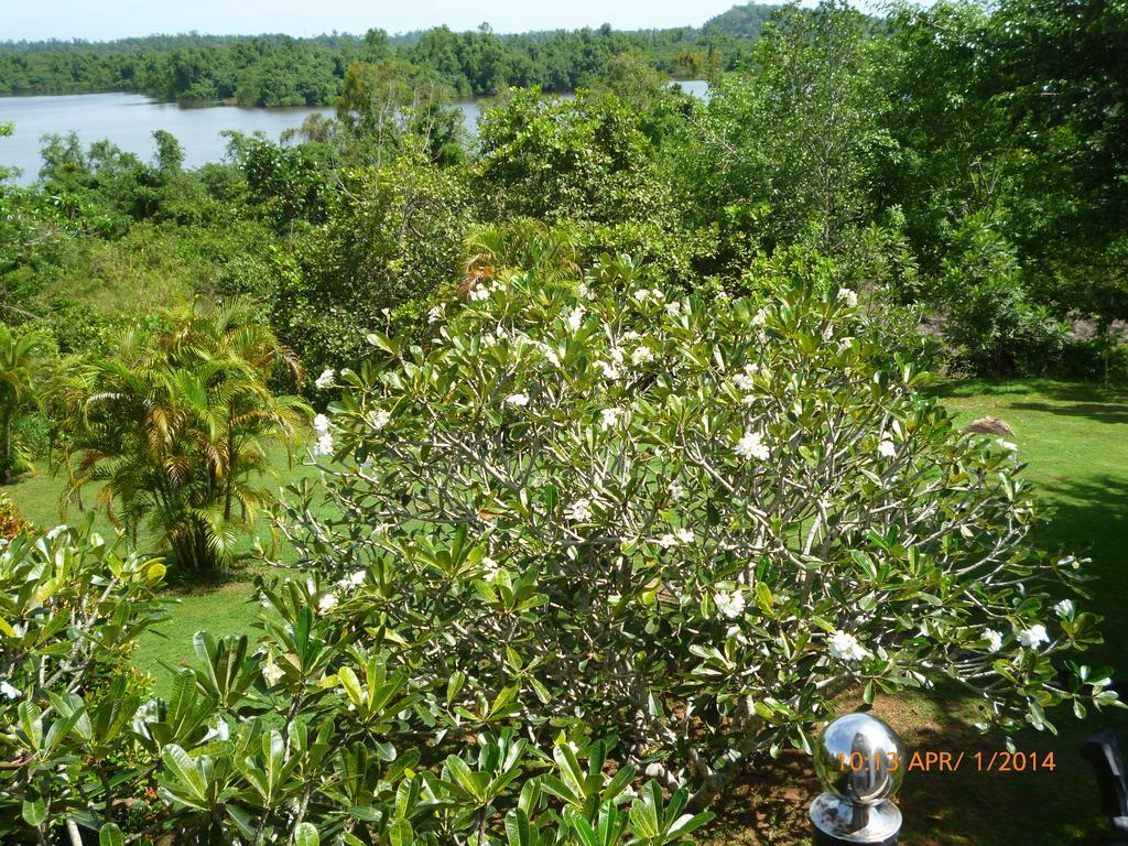Sobaco Nature Resort Bentota Bagian luar foto