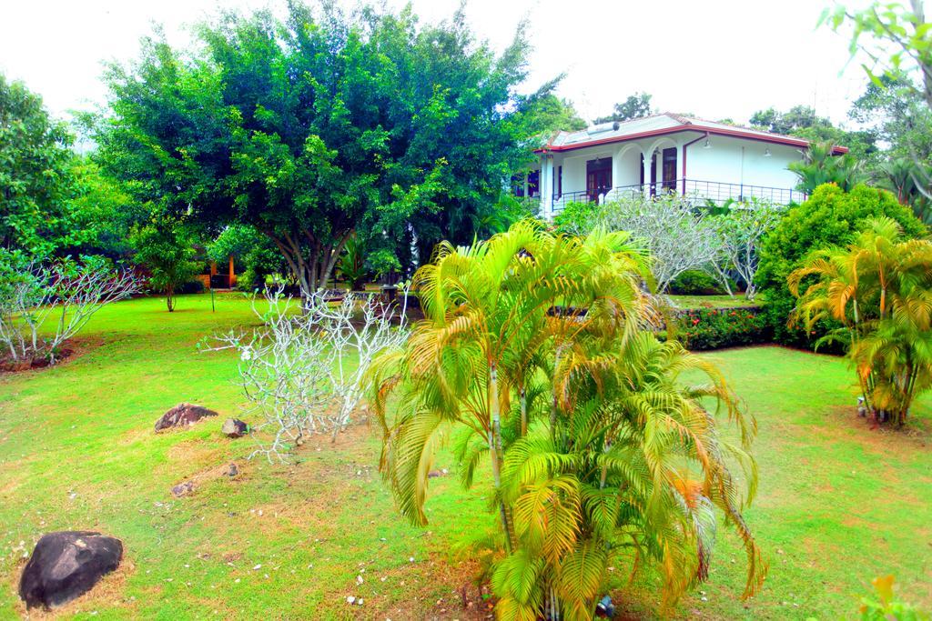 Sobaco Nature Resort Bentota Bagian luar foto