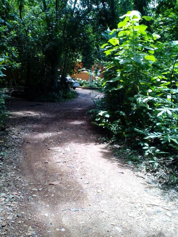 Sobaco Nature Resort Bentota Bagian luar foto