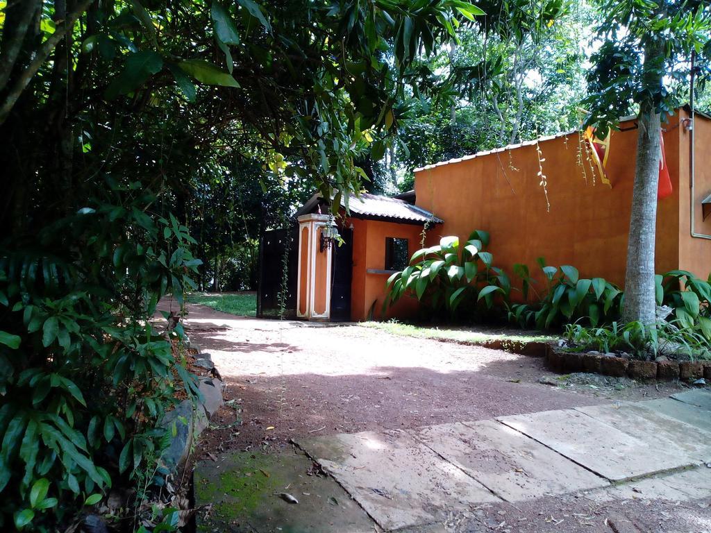 Sobaco Nature Resort Bentota Bagian luar foto
