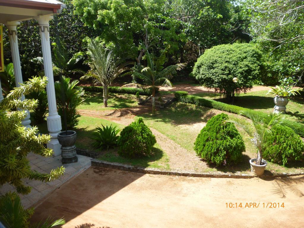Sobaco Nature Resort Bentota Bagian luar foto