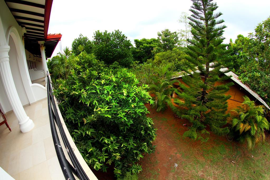 Sobaco Nature Resort Bentota Bagian luar foto